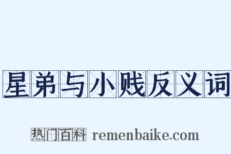 星弟与小贱反义词是什么意思的图片